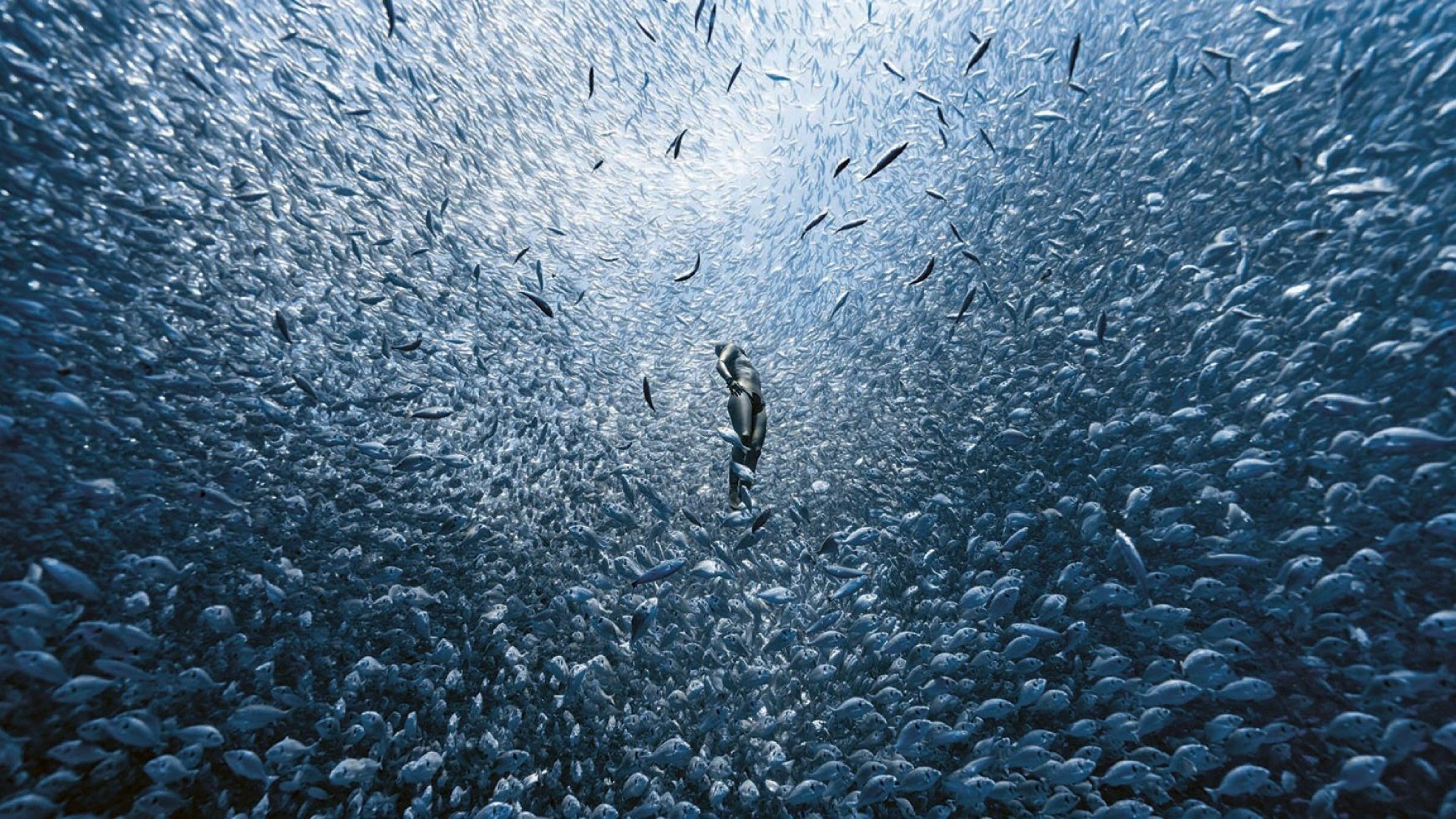 apnoe_gallery2_16x9
