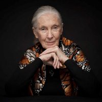 Jane Goodall